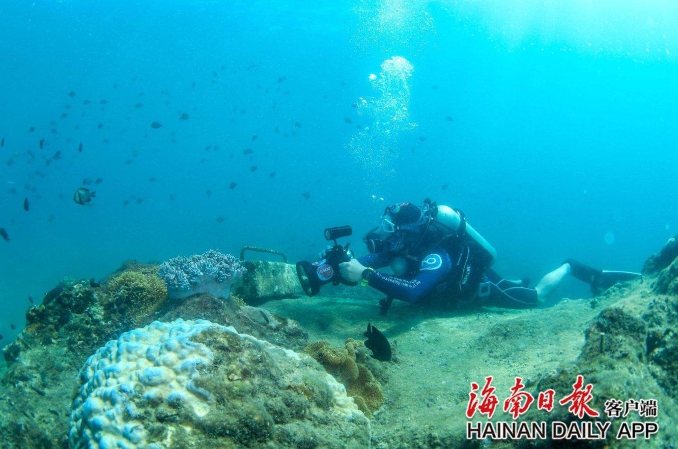 美妙夏季拼图