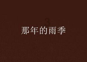 美式橄榄球大赛