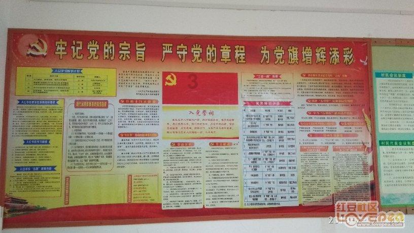 荆棘王座